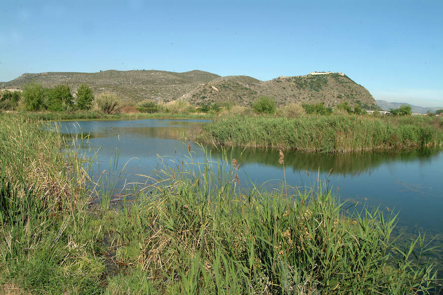 L'Ullal: Es un destino muy tranquilo a pocos metros de la Alquería del Duc dónde se pueden ver diferentes tipos de aves en plena naturaleza.