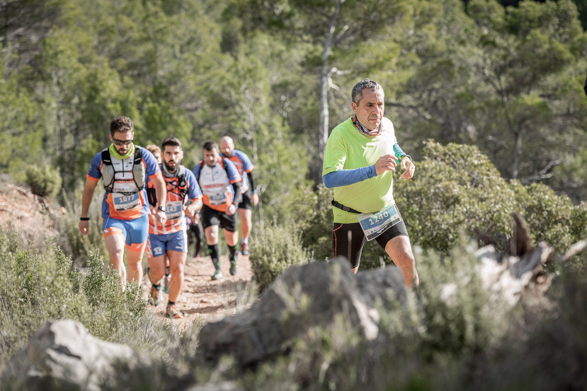 Galería de fotos de la carrera de 15 kilómetros del Trail de Montanejos celebrado el pasado 3 de noviembre