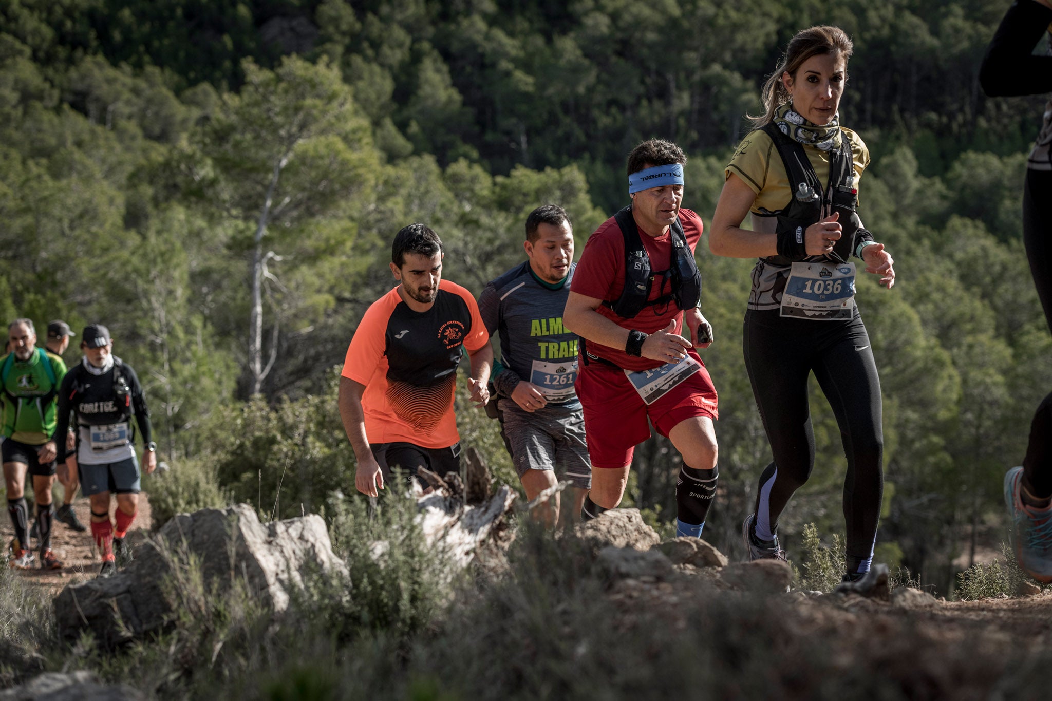 Galería de fotos de la carrera de 15 kilómetros del Trail de Montanejos celebrado el pasado 3 de noviembre