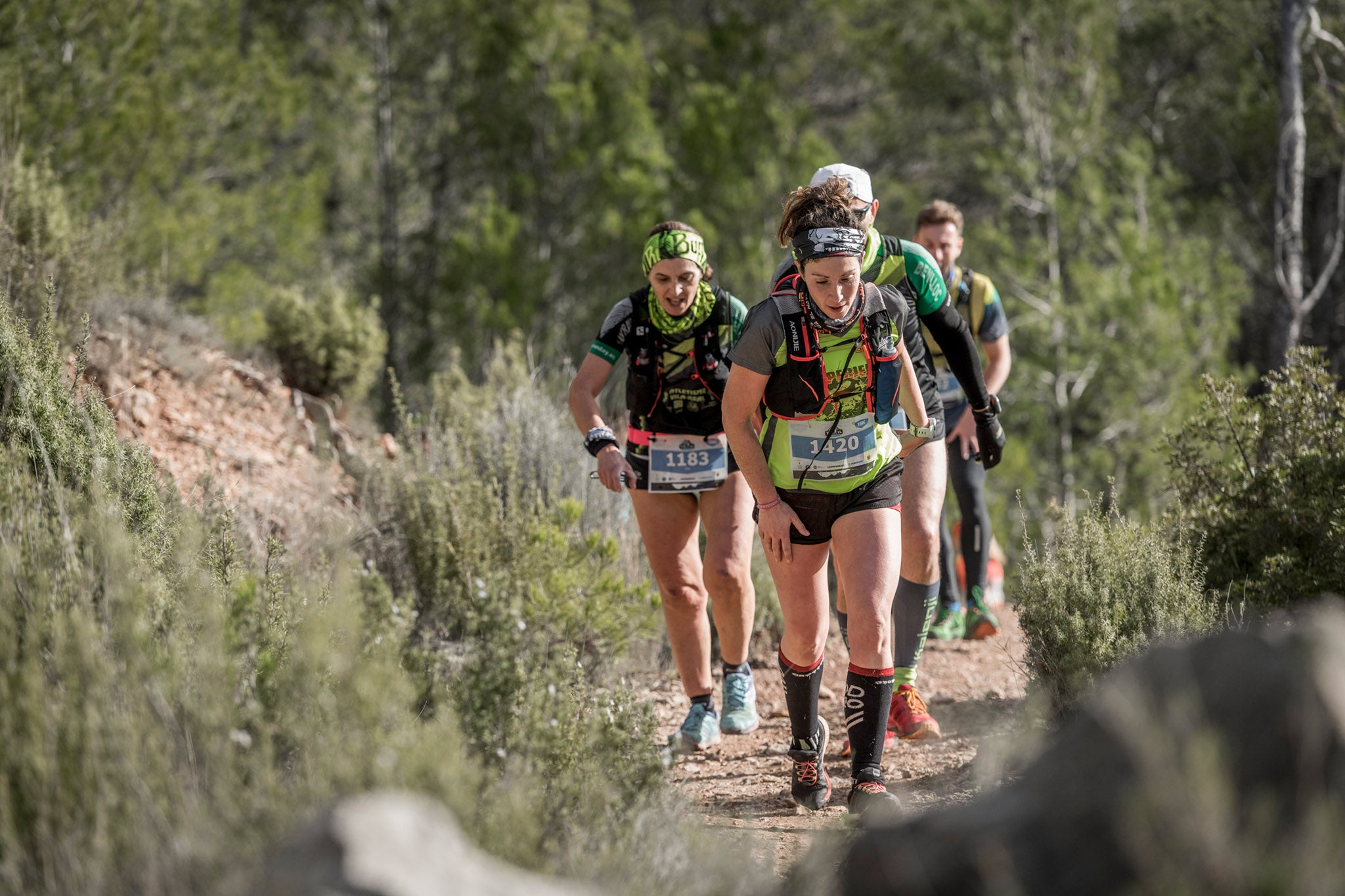 Galería de fotos de la carrera de 15 kilómetros del Trail de Montanejos celebrado el pasado 3 de noviembre