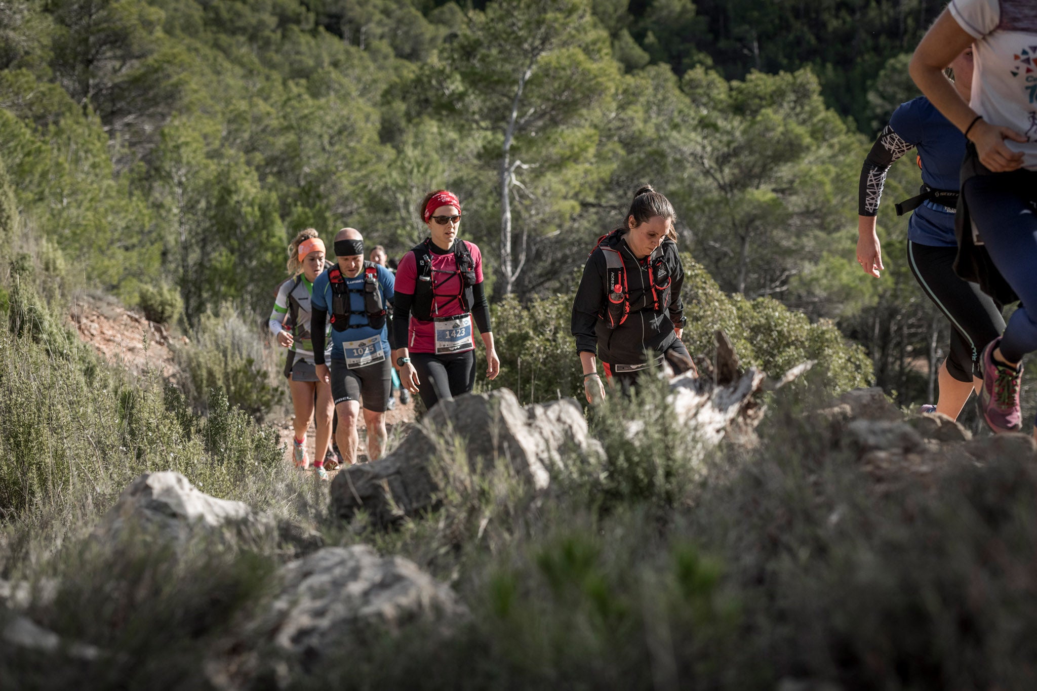 Galería de fotos de la carrera de 15 kilómetros del Trail de Montanejos celebrado el pasado 3 de noviembre