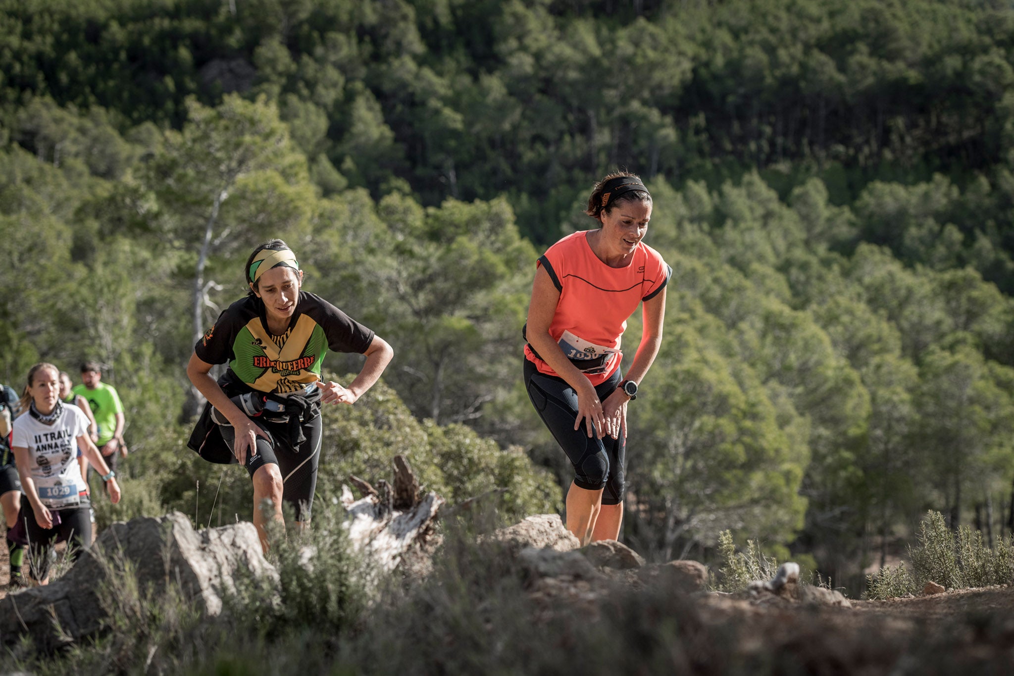 Galería de fotos de la carrera de 15 kilómetros del Trail de Montanejos celebrado el pasado 3 de noviembre