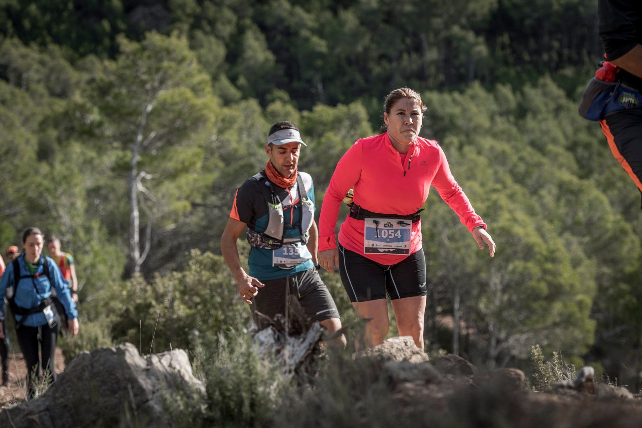 Galería de fotos de la carrera de 15 kilómetros del Trail de Montanejos celebrado el pasado 3 de noviembre