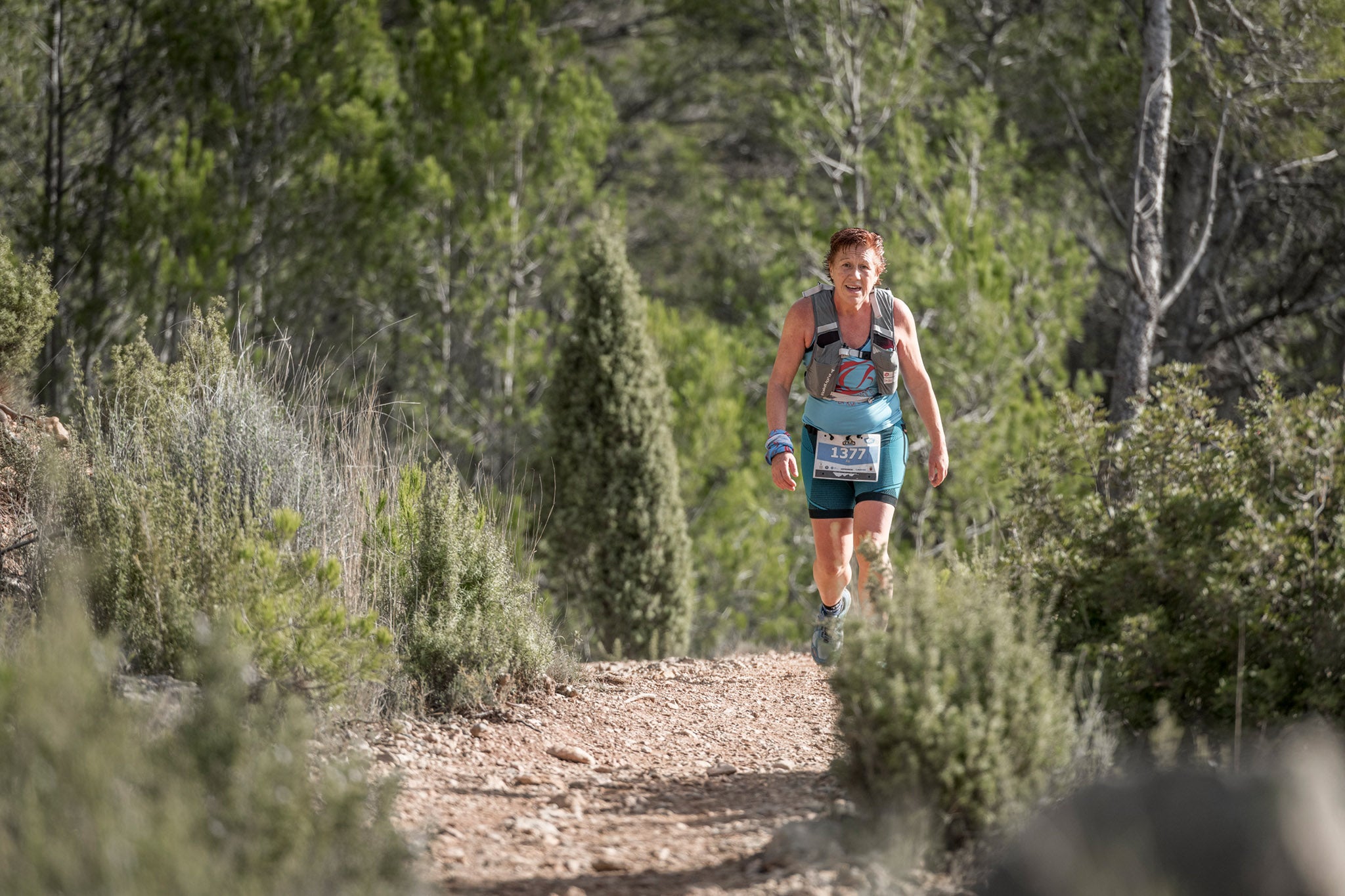 Galería de fotos de la carrera de 15 kilómetros del Trail de Montanejos celebrado el pasado 3 de noviembre