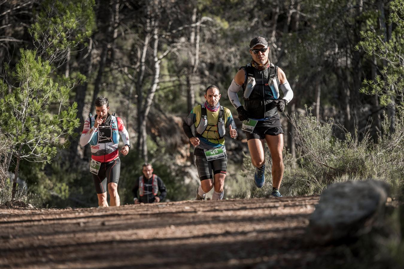 Galería de fotos de la prueba de 30 kilómetros del Trail de Montanejos celebrada el domingo 4 de noviembre