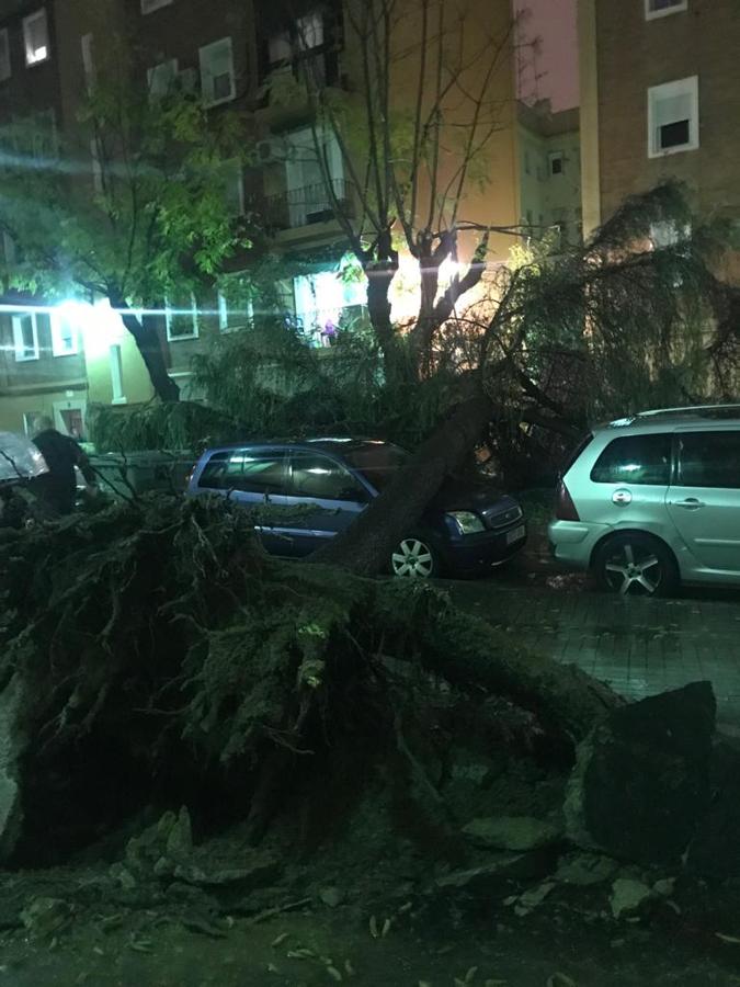 La lluvia descarga con fuerza sobre la capital del Turia durante el mediodía de este viernes