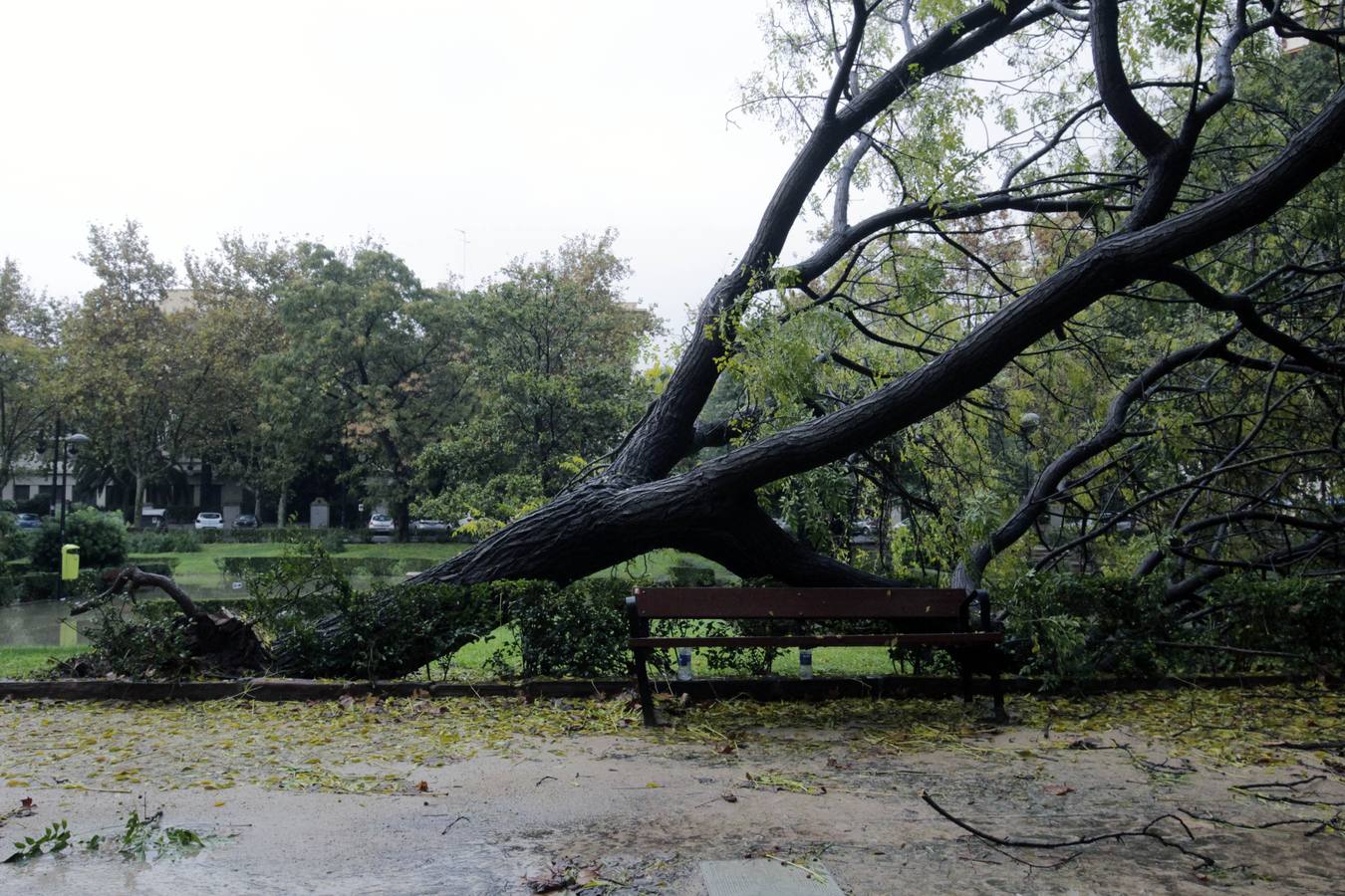 La lluvia descarga con fuerza sobre la capital del Turia durante el mediodía de este viernes