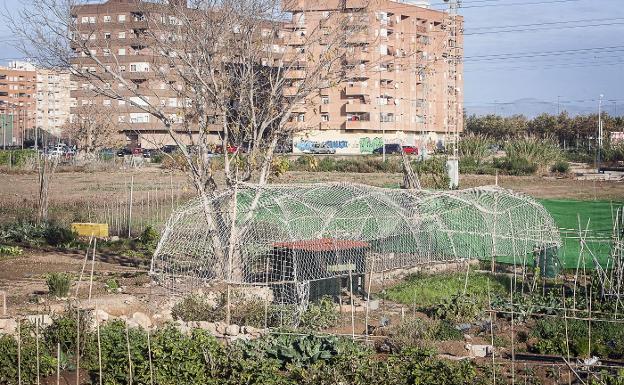 Huertos de autoconsumo, junto al casco urbano de Benimaclet.