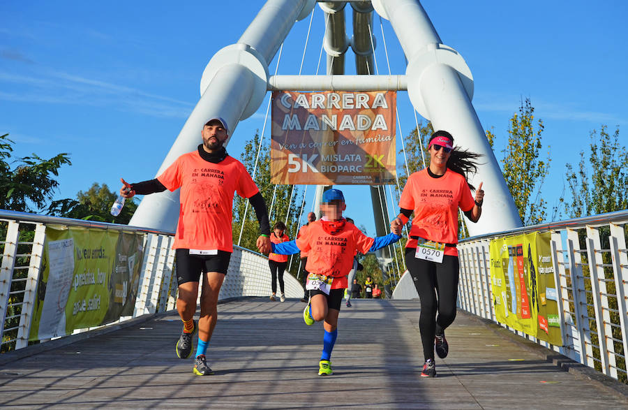 Cerca de 1.000 corredores han participado en el evento que tiene como objetivo recaudar fondos para el proyecto valenciano 'AcogeUnPajarito'.