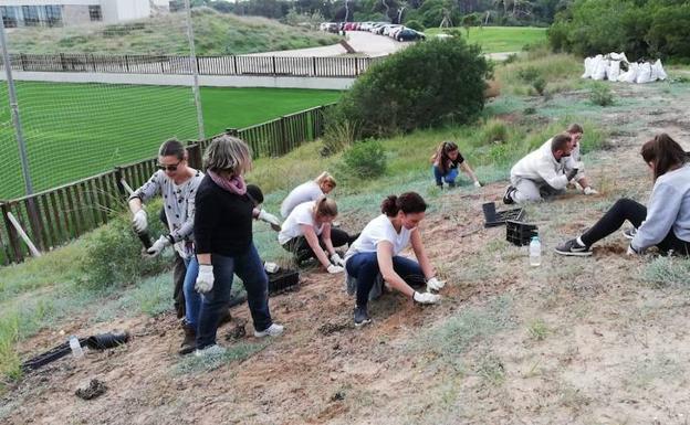 Los trabajadores de Quirónsalud Valencia colaboran en la preservación de El Saler