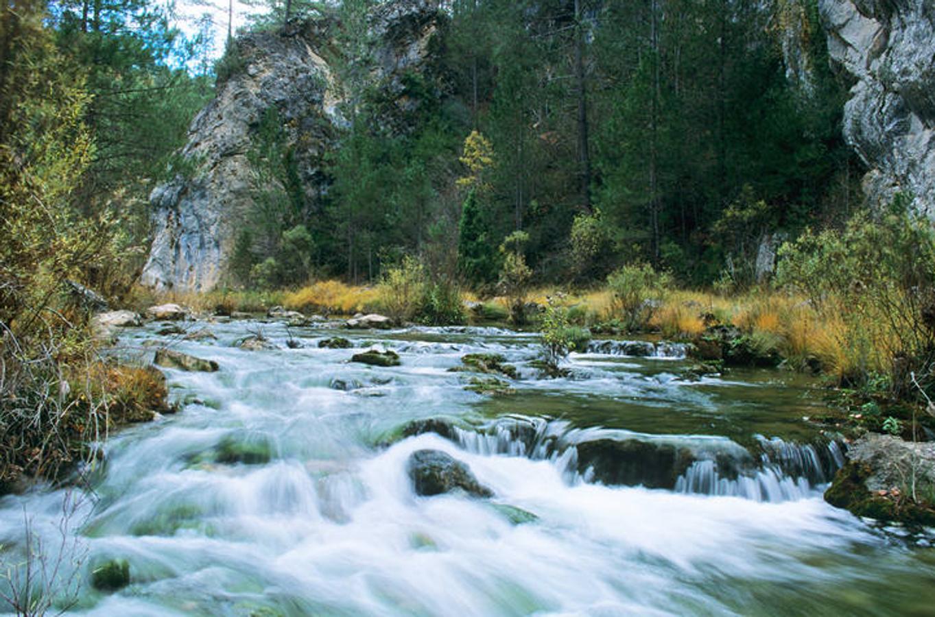 El Hosquillo (Cuenca): En el corazón de la Serranía Alta, este parque tiene como habitantes a numerosas especies de animales salvajes, entre las que destaca la variedad de aves. Además, los que hasta allí acuden se pueden encontrar con dos especies que, actualmente, están en peligro de extinción, el lobo ibérico y el oso pardo.