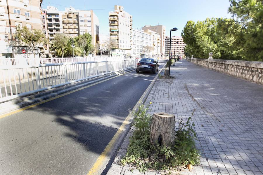 La eliminación del arbolado se produce en una zona afectada por las obras de un carril ciclista, entre el puente de las Artes y el de San José