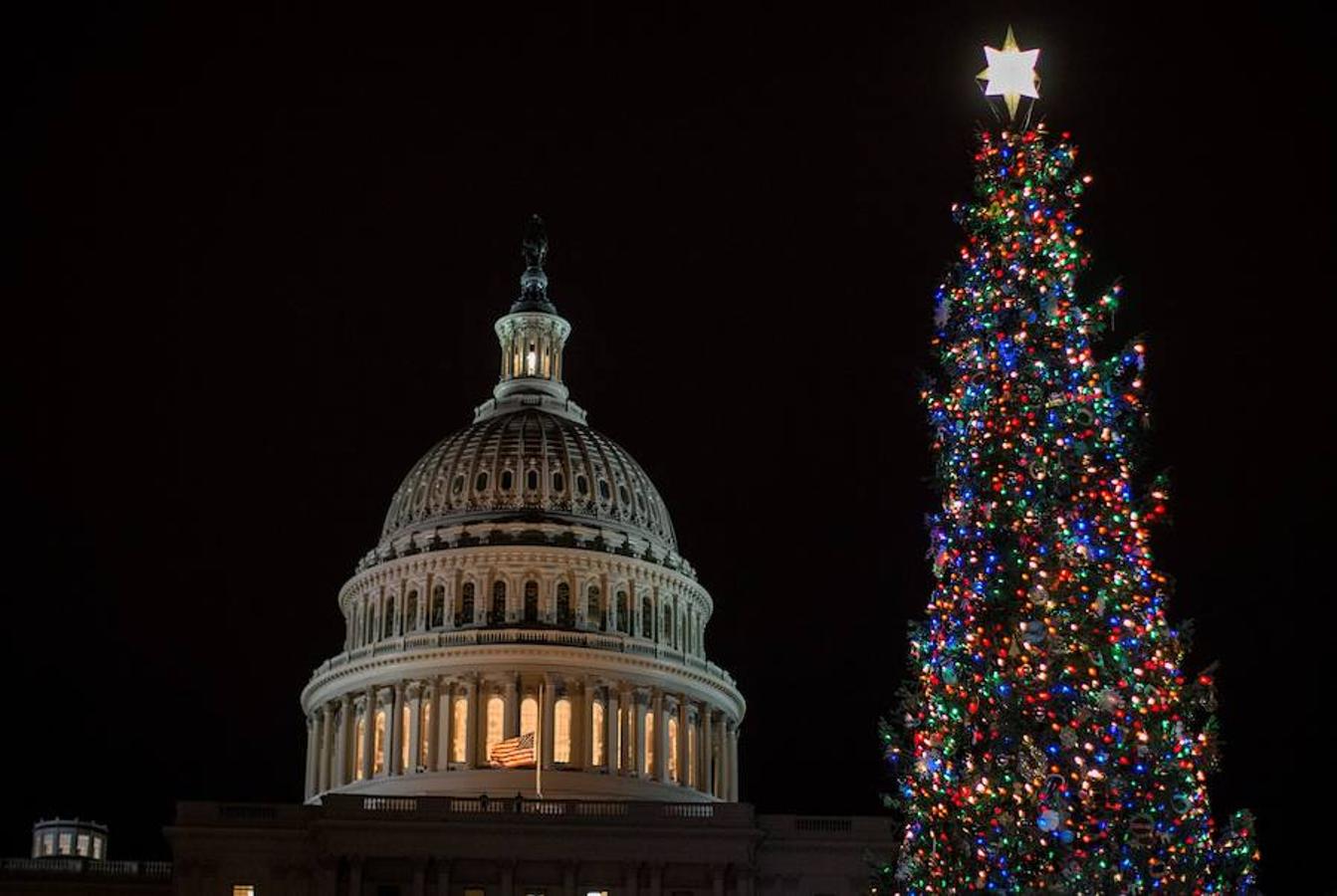 El árbol de Navidad del Capitolio de los Estados Unidos, un noble abeto de Oregón.