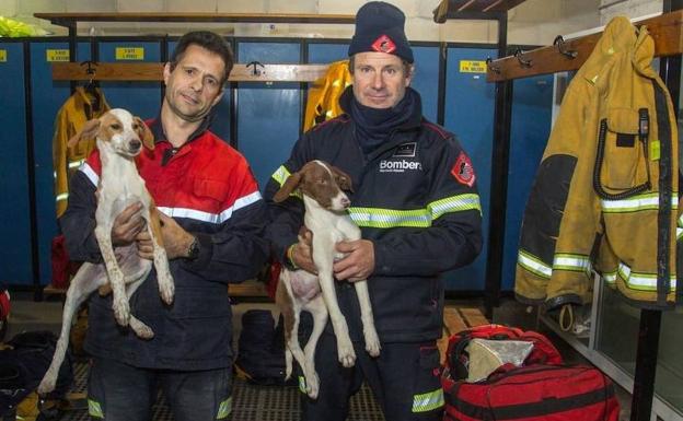 Dos de los efectivos del arque de bomberos de San Vicente (Alicante) tras el rescate de los animales. 