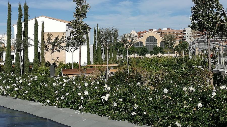 El Parque Central de Valencia comienza a ser una realidad. El avance de las obras ya permite ver cómo será uno de los pulmones de la ciudad y otro punto de encuentro para el deporte y el ocio.