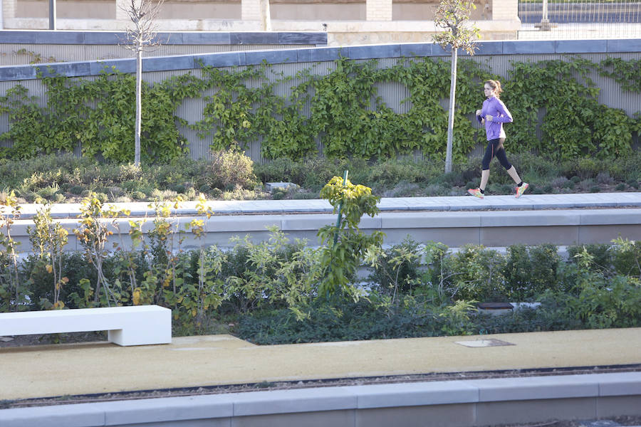 El Parque Central de Valencia comienza a ser una realidad. El avance de las obras ya permite ver cómo será uno de los pulmones de la ciudad y otro punto de encuentro para el deporte y el ocio.