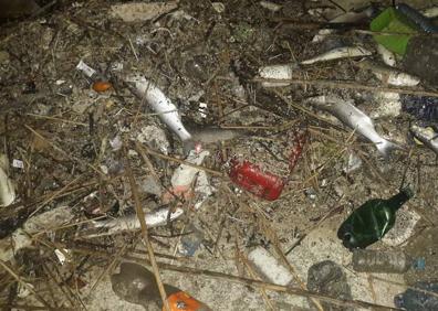 Imagen secundaria 1 - Vecinos de Pinedo denuncian la aparición de miles de peces muertos