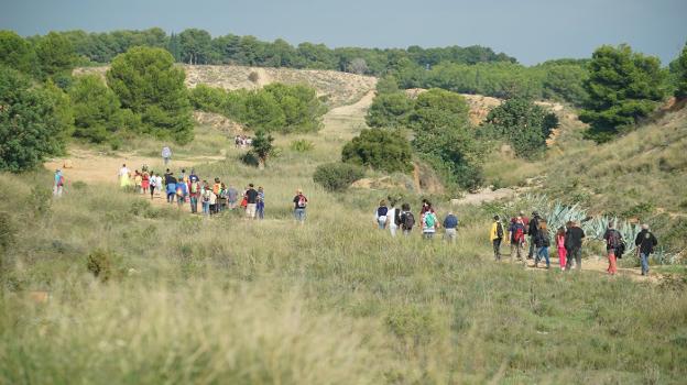 Excursionistas recorren el entorno forestal de Les Moles. 