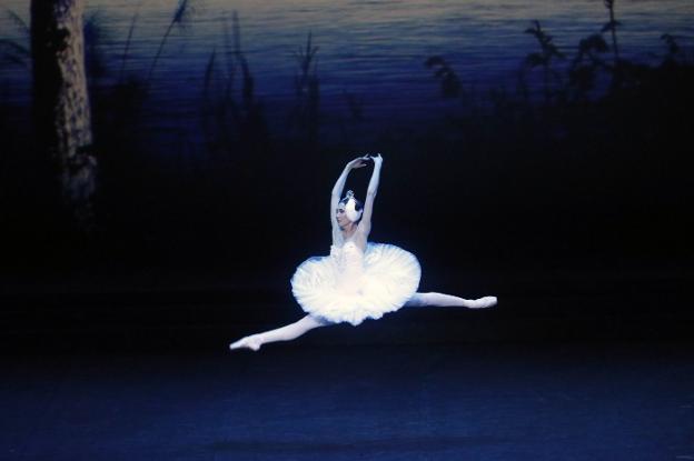 Una bailarina, ayer, en el ensayo general de 'El lago de los cisnes'. 