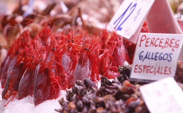 Marisco en el Mercado Central de Valencia, este sábado. 