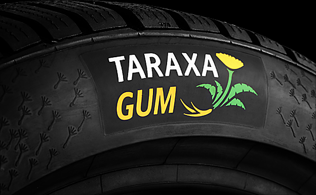 Del huerto a la rueda