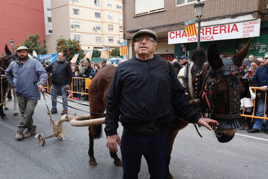 La calle Sagunto acoge un año más el tradicional acto que reúne a decenas especies de animales