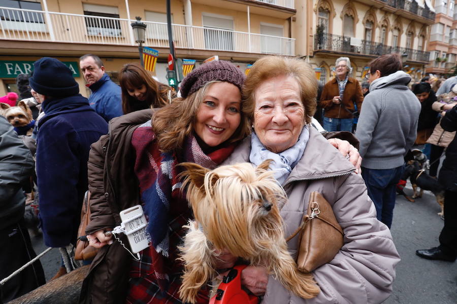 La calle Sagunto acoge un año más el tradicional acto que reúne a decenas especies de animales