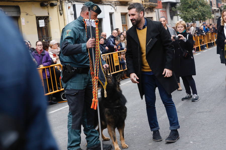 La calle Sagunto acoge un año más el tradicional acto que reúne a decenas especies de animales