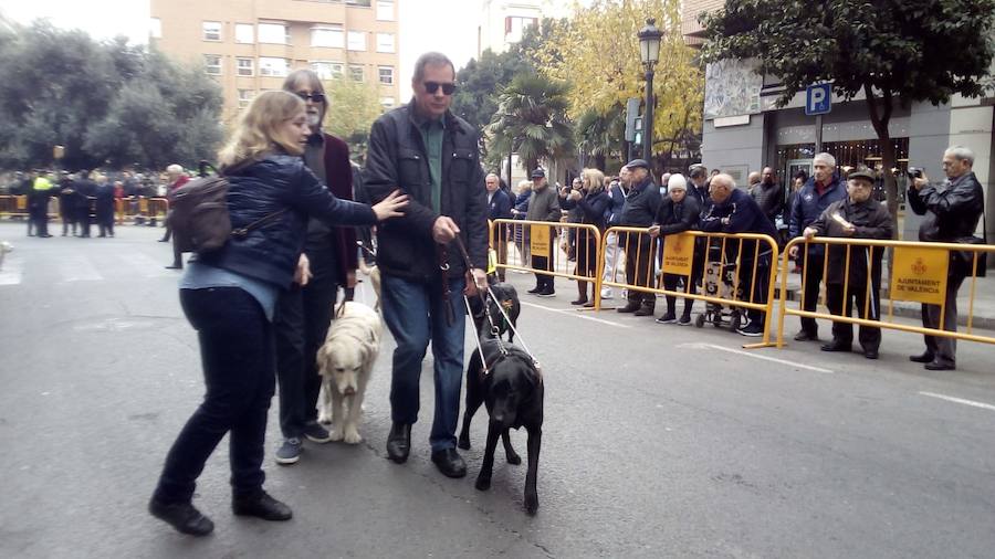 La calle Sagunto acoge un año más el tradicional acto que reúne a decenas especies de animales