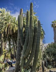 Imagen secundaria 2 - Un jardín cambiante en el centro de Valencia