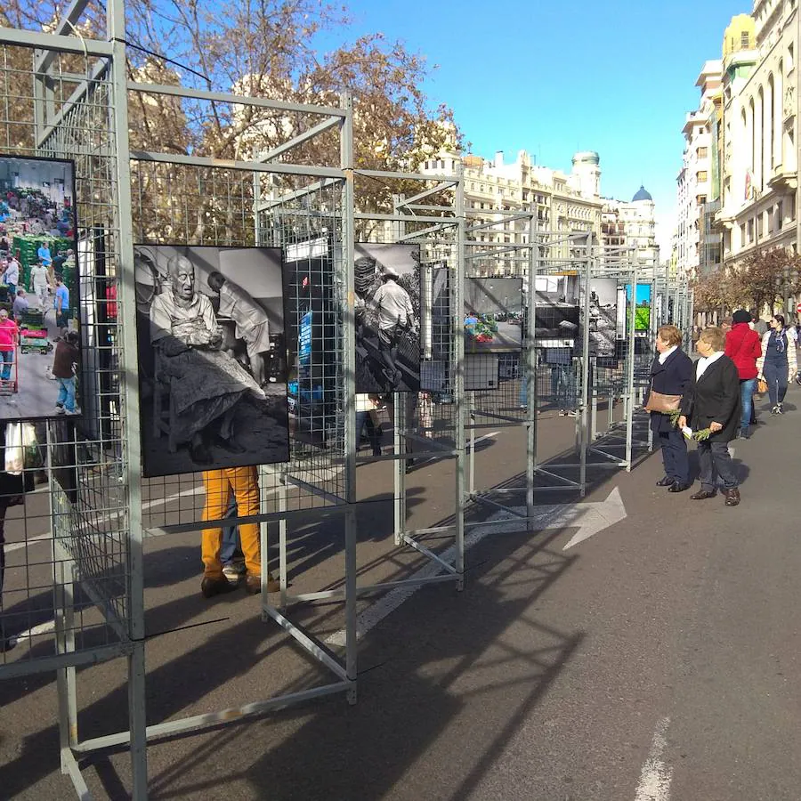 Fotos: De Horta a Plaza del Ayuntamiento