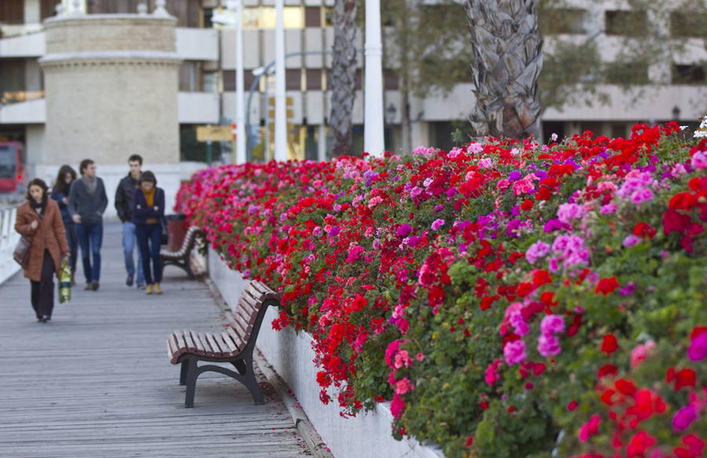 Puente de las flores.