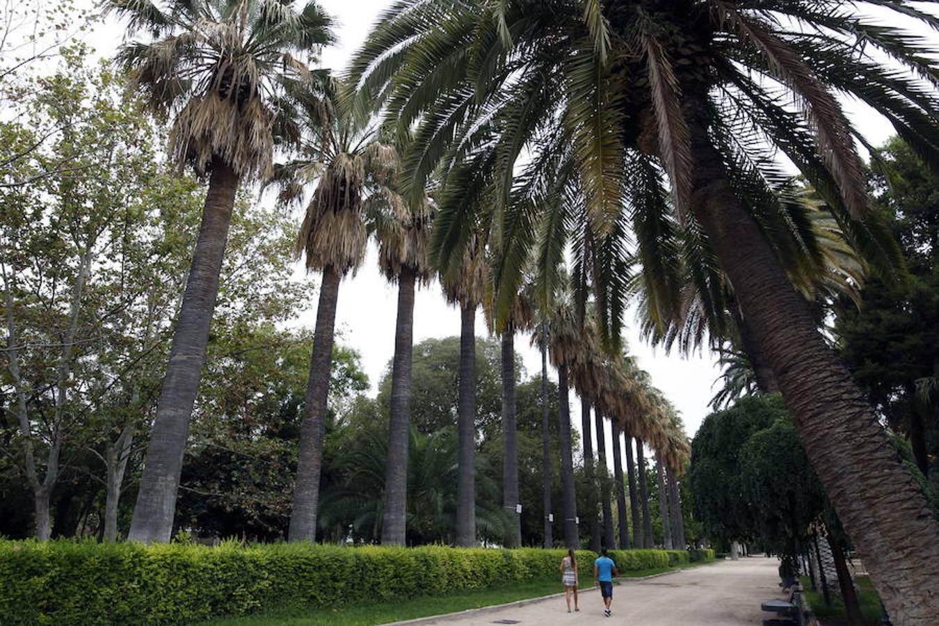 Jardines del Real, también llamados Jardines de Viveros.