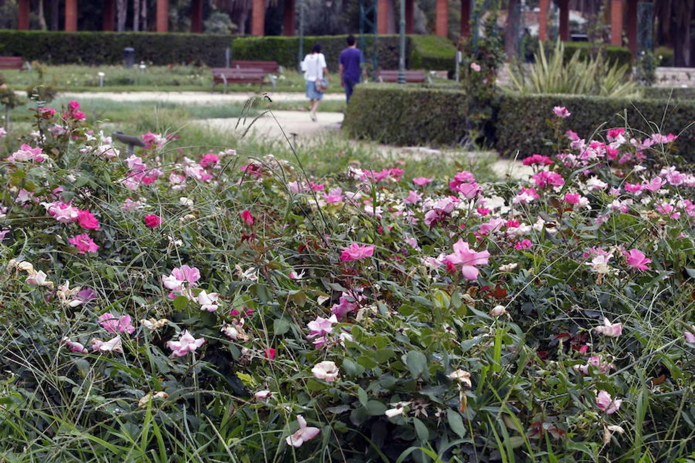 Jardines del Real, también llamados Jardines de Viveros.