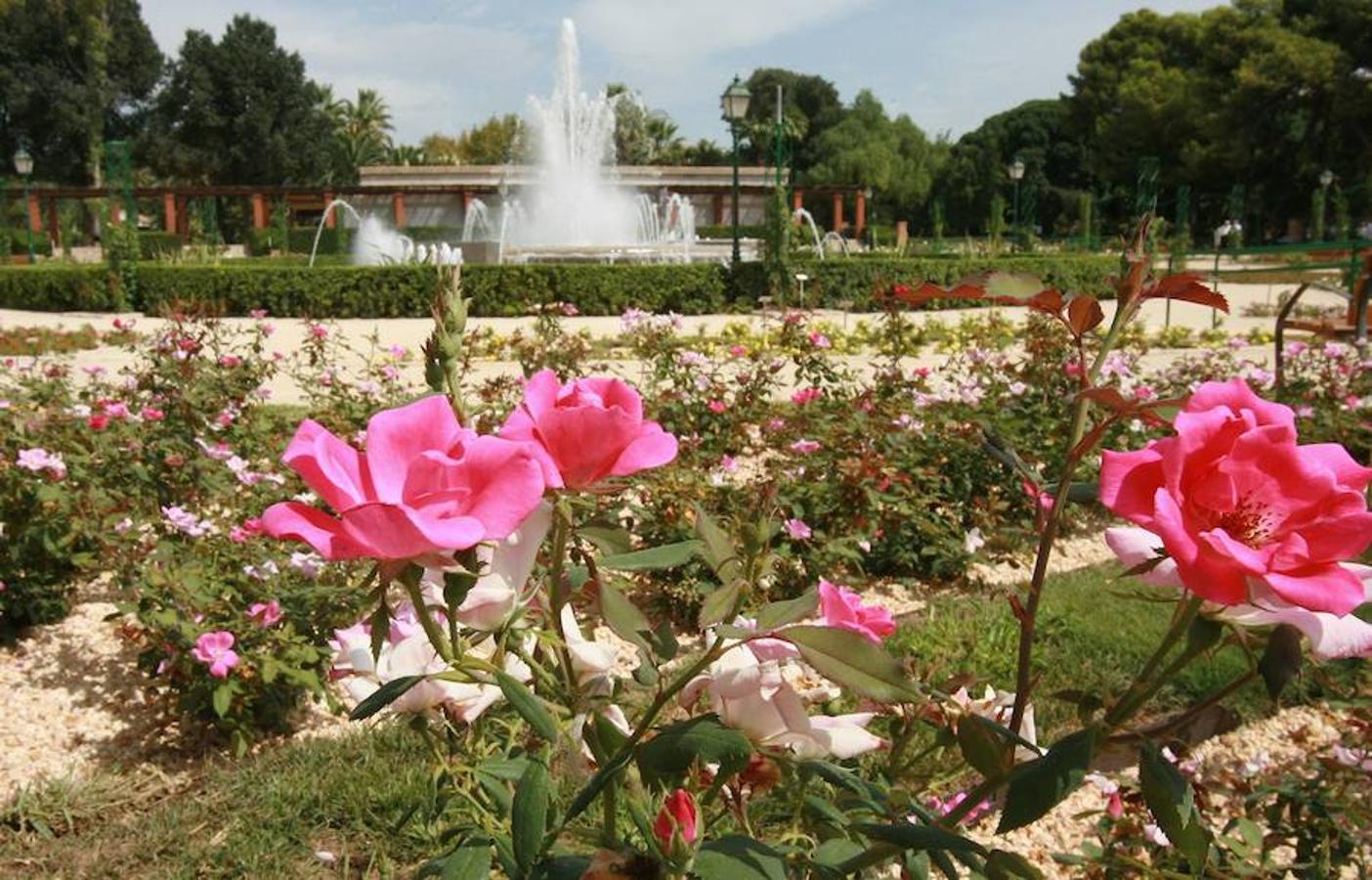 Jardines del Real, también llamados Jardines de Viveros.