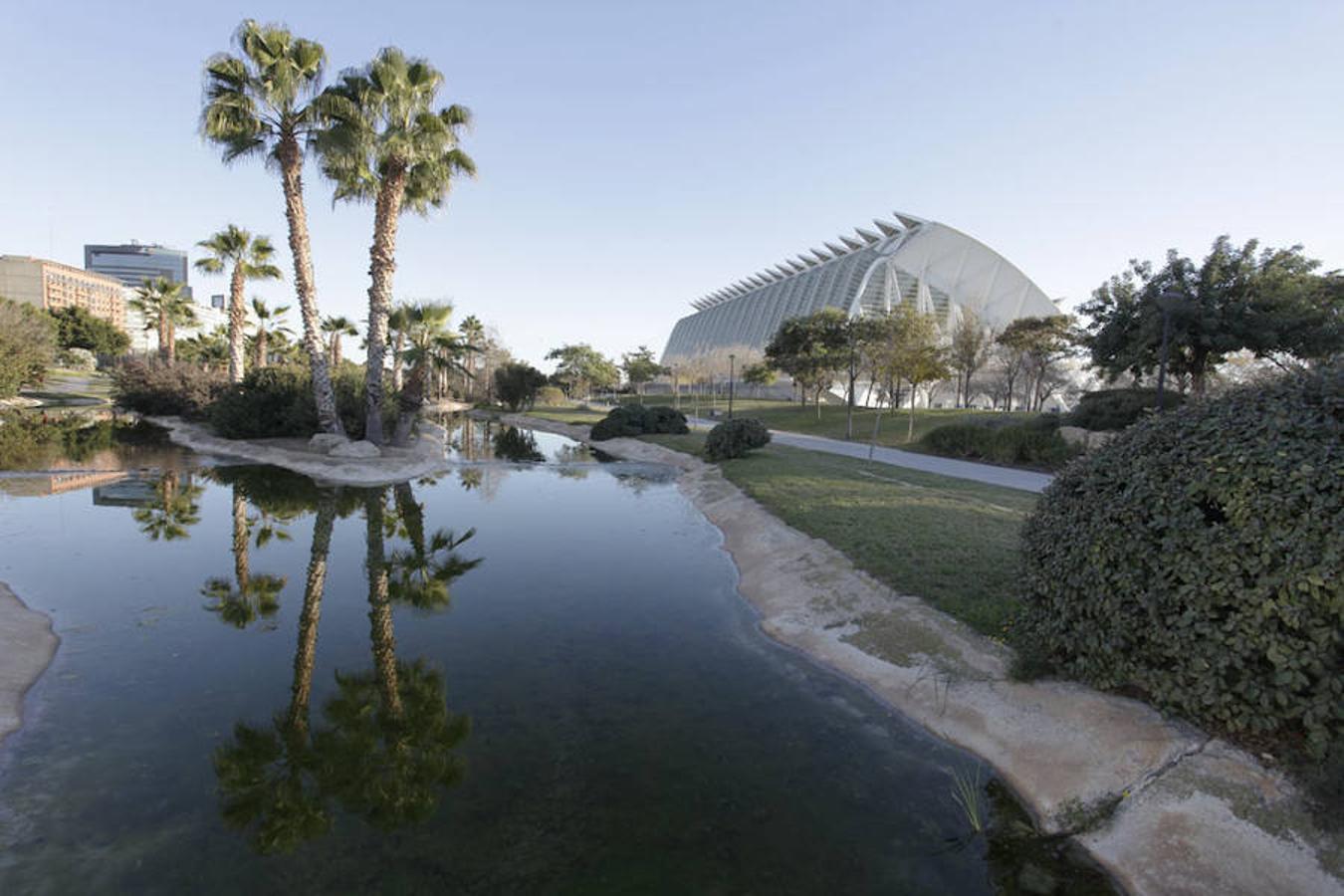 Ciudad de las Artes y las Ciencias.