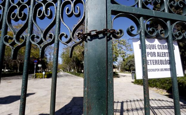 El fuerte viento obliga a cerrar los parques y jardines de Valencia