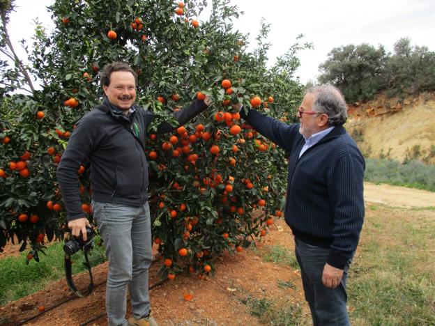 La Safor triunfa en el norte