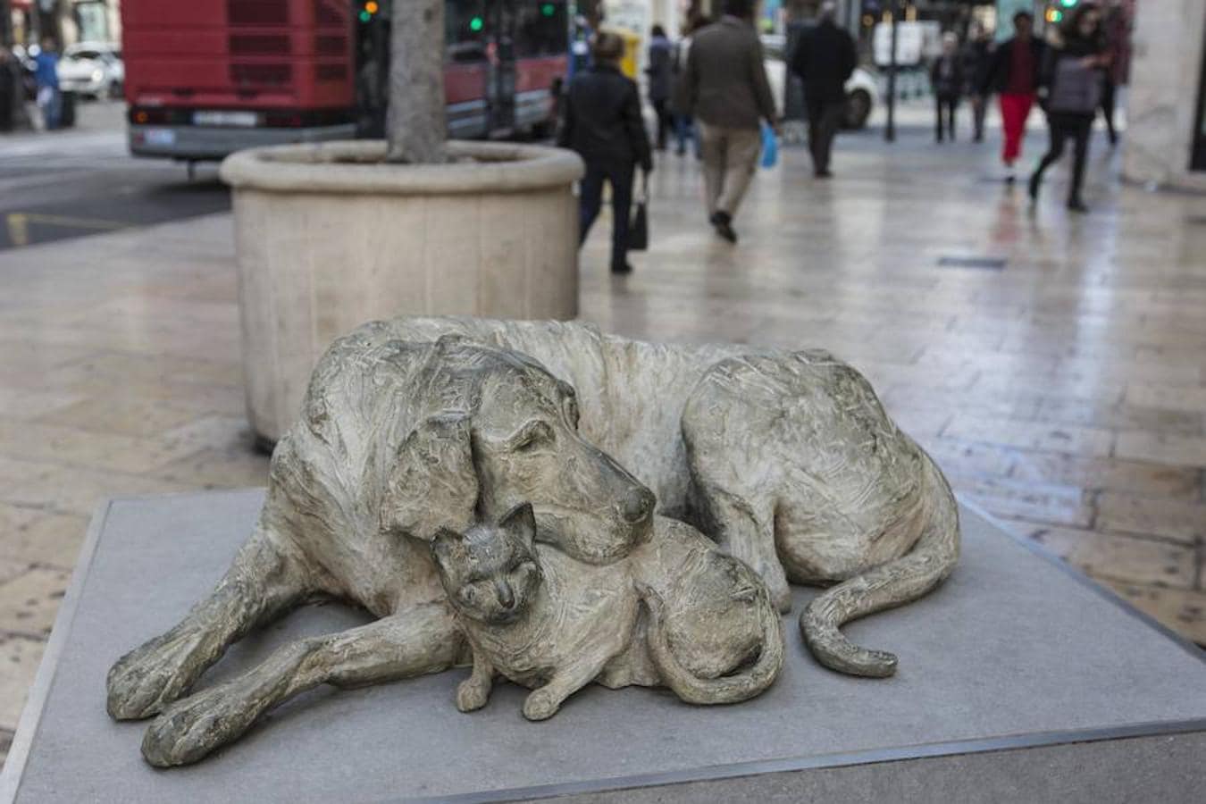 Animales abandonados en la plaza Pinazo. En medio de una de las plazas más céntricas de la ciudad se ubica esta escultura, donada por Elena Negueroles. Sobre ella, se pueden observar dos mascotas, un gato y un perro. Esta pieza es una obra de denuncia contra el maltrato animal y pretende concienciar a los ciudadanos sobre el abandono de las mascotas.