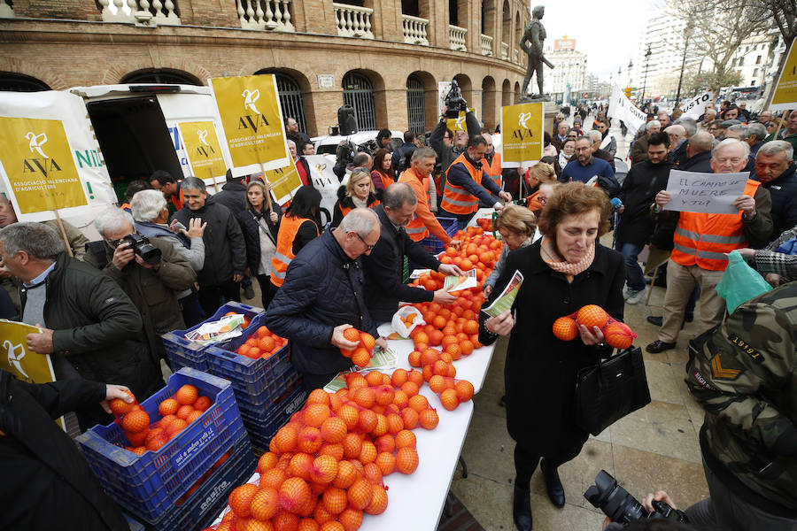 La Asociación Valenciana de Agricultores protesta este jueves por la crisis que atraviesa el sector