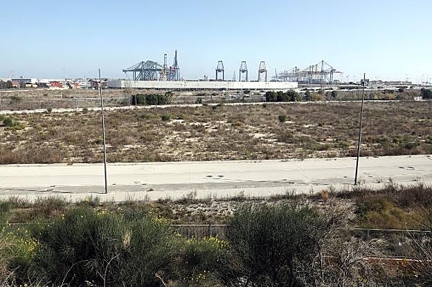 Terrenos de la Zona de Actividades Logísticas, con el puerto al fondo. 