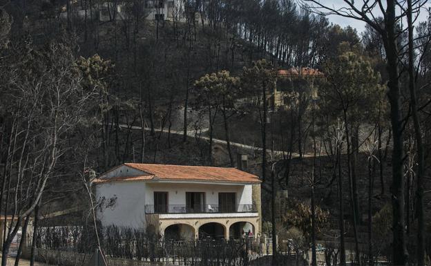 Viviendas rodeadas de árboles calcinados en Marxquera.