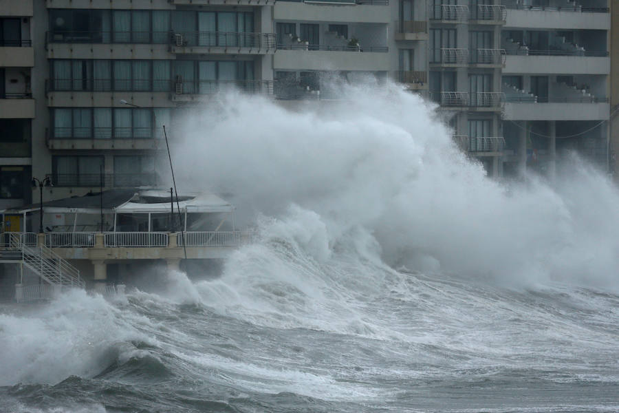 Un temporal de viento huracanado ha azotado Malta durante los últimos días. Las fuertes rachas de viento, que han llegado a los 100 km/hora, han destrozado estructuras, derribado árboles e incluso han provocado una inusual 'lluvia' de peces. Y es que, el viento desplazó multitud de ellos desde una piscifactoría que se encuentra en mitad del mar, concretamente en la bahía de San Pablo.