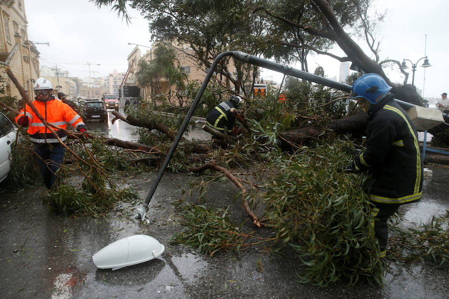 Un temporal de viento huracanado ha azotado Malta durante los últimos días. Las fuertes rachas de viento, que han llegado a los 100 km/hora, han destrozado estructuras, derribado árboles e incluso han provocado una inusual 'lluvia' de peces. Y es que, el viento desplazó multitud de ellos desde una piscifactoría que se encuentra en mitad del mar, concretamente en la bahía de San Pablo.