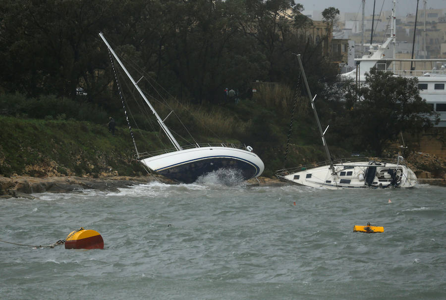 Un temporal de viento huracanado ha azotado Malta durante los últimos días. Las fuertes rachas de viento, que han llegado a los 100 km/hora, han destrozado estructuras, derribado árboles e incluso han provocado una inusual 'lluvia' de peces. Y es que, el viento desplazó multitud de ellos desde una piscifactoría que se encuentra en mitad del mar, concretamente en la bahía de San Pablo.