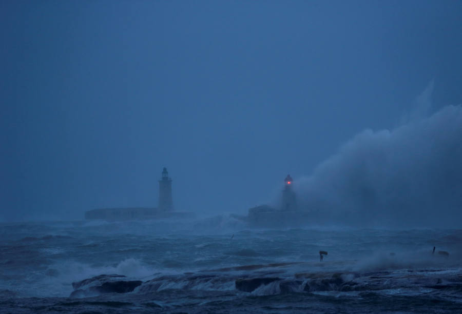 Un temporal de viento huracanado ha azotado Malta durante los últimos días. Las fuertes rachas de viento, que han llegado a los 100 km/hora, han destrozado estructuras, derribado árboles e incluso han provocado una inusual 'lluvia' de peces. Y es que, el viento desplazó multitud de ellos desde una piscifactoría que se encuentra en mitad del mar, concretamente en la bahía de San Pablo.