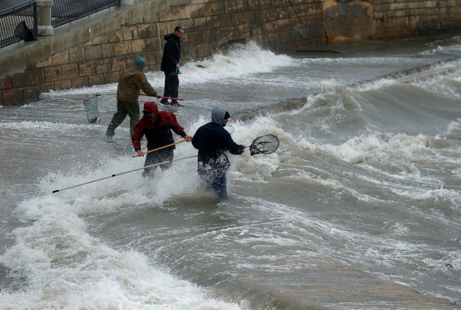 Un temporal de viento huracanado ha azotado Malta durante los últimos días. Las fuertes rachas de viento, que han llegado a los 100 km/hora, han destrozado estructuras, derribado árboles e incluso han provocado una inusual 'lluvia' de peces. Y es que, el viento desplazó multitud de ellos desde una piscifactoría que se encuentra en mitad del mar, concretamente en la bahía de San Pablo.