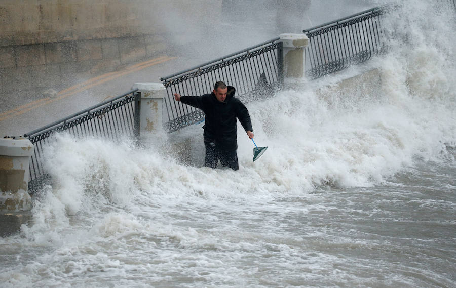 Un temporal de viento huracanado ha azotado Malta durante los últimos días. Las fuertes rachas de viento, que han llegado a los 100 km/hora, han destrozado estructuras, derribado árboles e incluso han provocado una inusual 'lluvia' de peces. Y es que, el viento desplazó multitud de ellos desde una piscifactoría que se encuentra en mitad del mar, concretamente en la bahía de San Pablo.