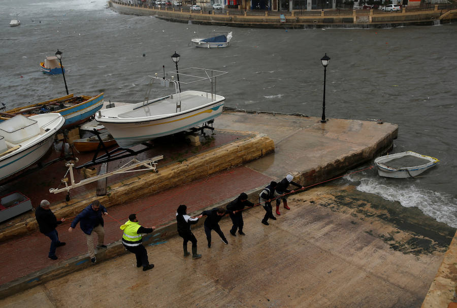 Un temporal de viento huracanado ha azotado Malta durante los últimos días. Las fuertes rachas de viento, que han llegado a los 100 km/hora, han destrozado estructuras, derribado árboles e incluso han provocado una inusual 'lluvia' de peces. Y es que, el viento desplazó multitud de ellos desde una piscifactoría que se encuentra en mitad del mar, concretamente en la bahía de San Pablo.