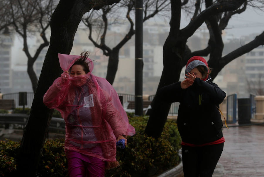 Un temporal de viento huracanado ha azotado Malta durante los últimos días. Las fuertes rachas de viento, que han llegado a los 100 km/hora, han destrozado estructuras, derribado árboles e incluso han provocado una inusual 'lluvia' de peces. Y es que, el viento desplazó multitud de ellos desde una piscifactoría que se encuentra en mitad del mar, concretamente en la bahía de San Pablo.